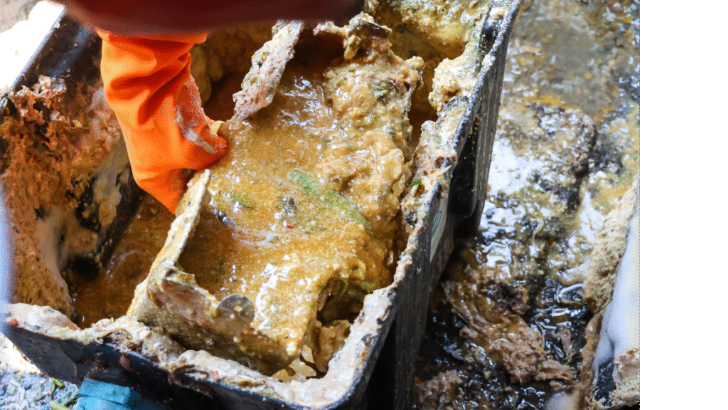 sedot limbah murah di surabaya