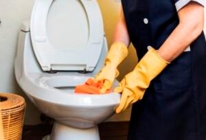 tips merawat wc