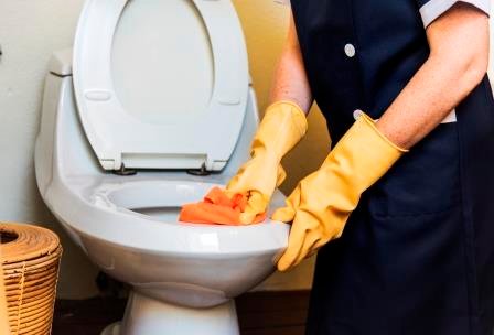 tips merawat wc